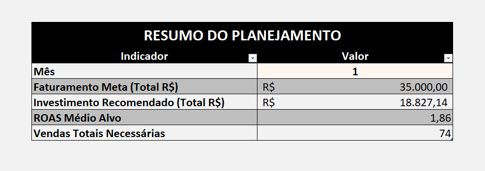 Preview da Planilha de Tráfego - Tela 6